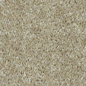 Taupe Stone - Energize - Shaw Floors - Carpet